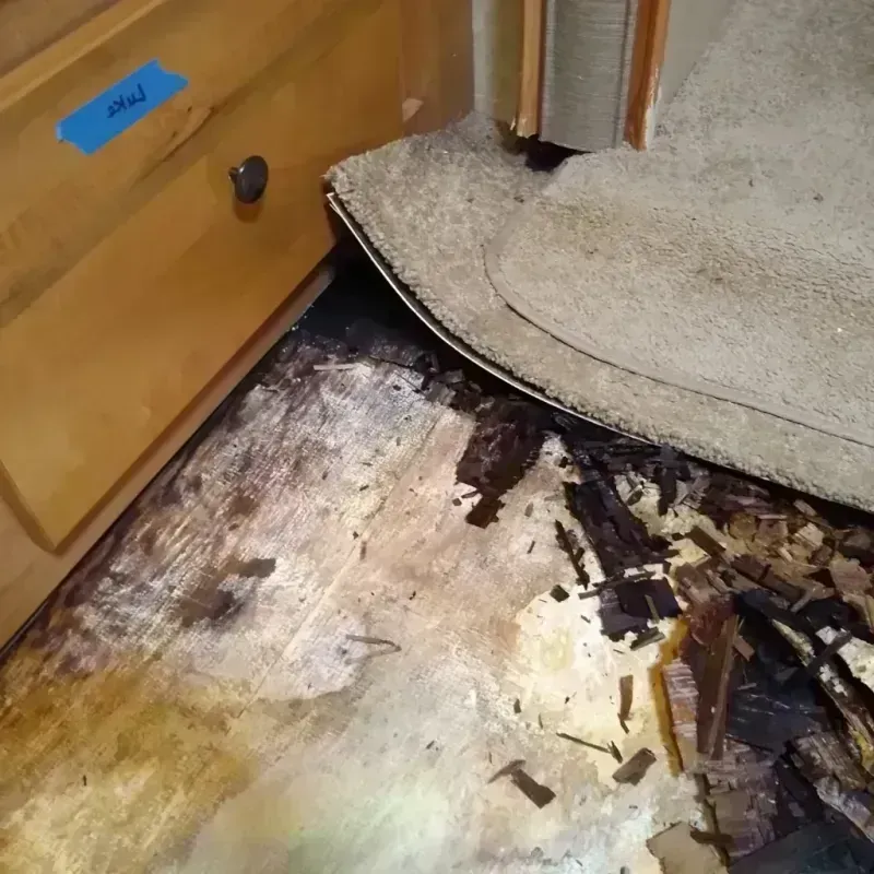 Wood Floor Water Damage in Roselle, NJ